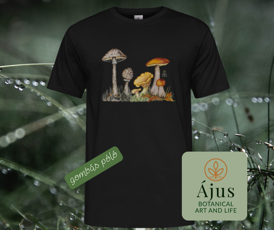 Ájus Botanical termékek