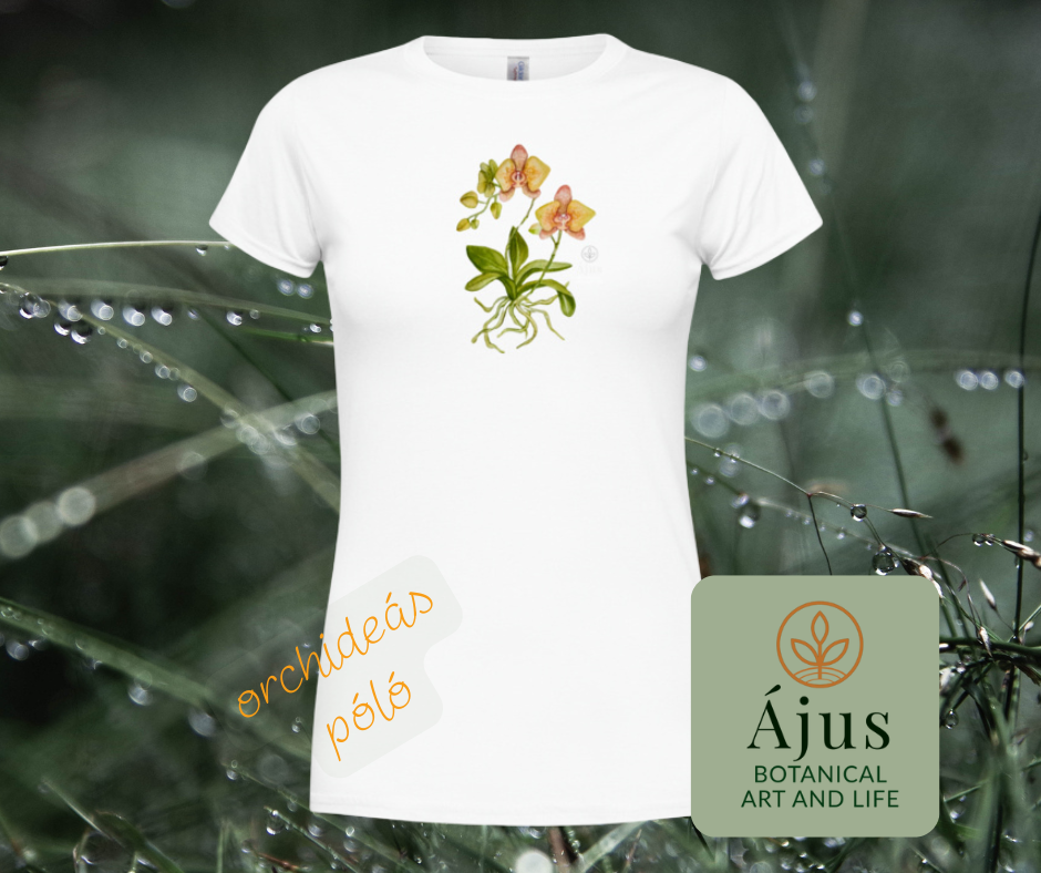 Ájus Botanical termékek