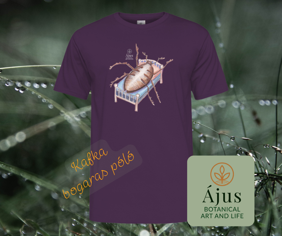 Ájus Botanical termékek