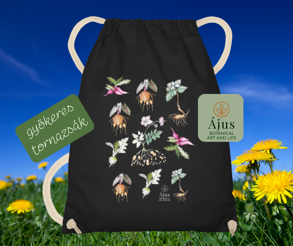 Ájus Botanical - nyári terméktervek