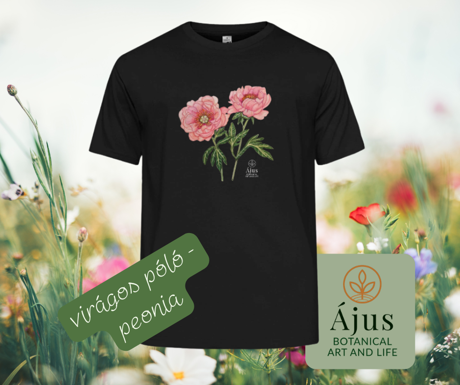 Ájus Botanical - nyári terméktervek