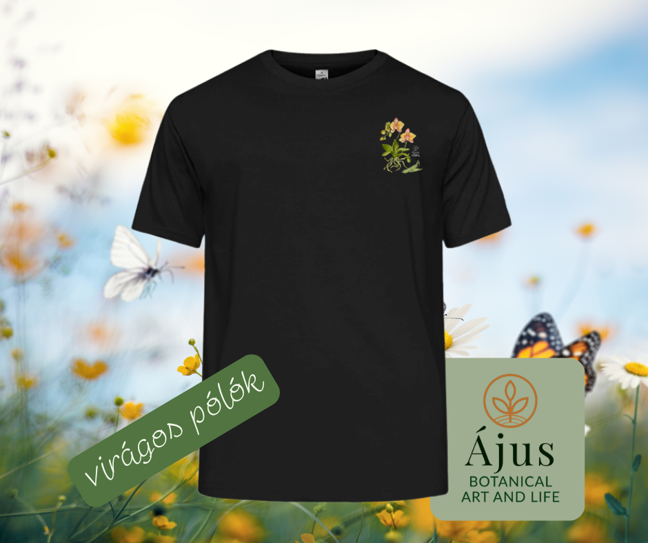 Ájus Botanical - nyári terméktervek