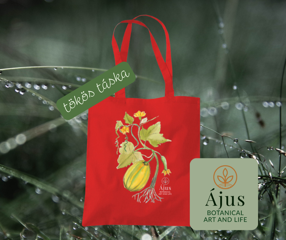 Ájus Botanical termékek