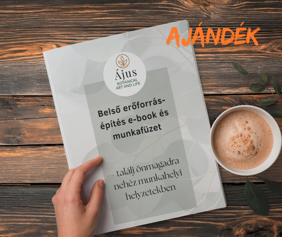Töltsd le az ajándékokat!