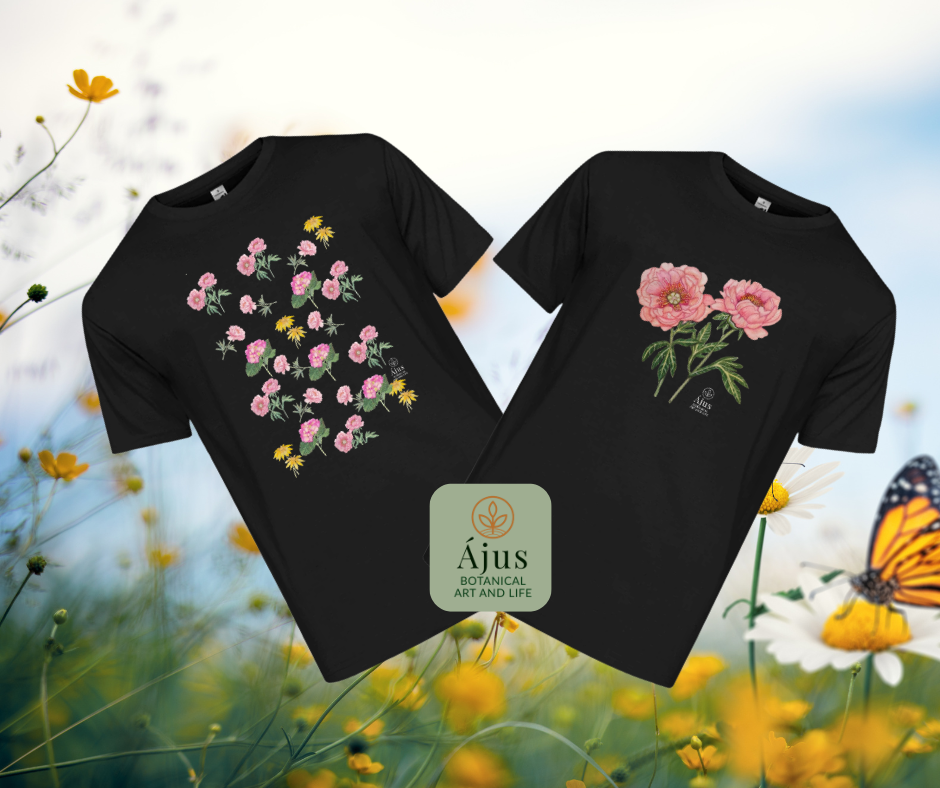 Ájus Botanical - nyári terméktervek